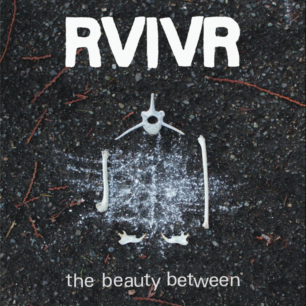 Picture of The Beauty Between