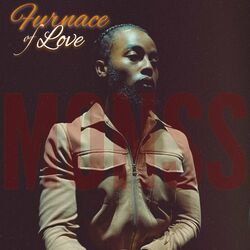 Cover of Furnace of Love
