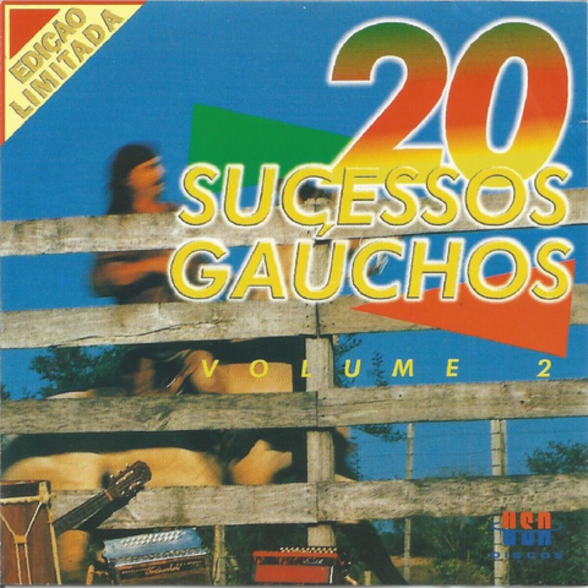 Album cover of 20 SUCESSOS GAÚCHOS, VOL. 2