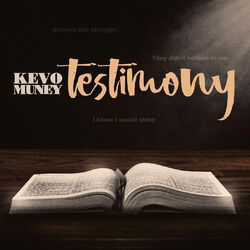 Cover of Testimony