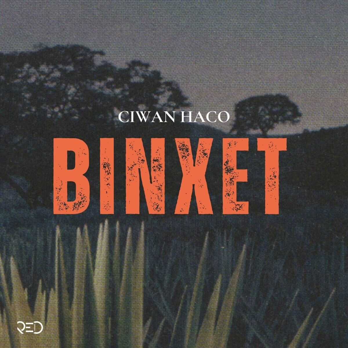 Album cover of Binxet