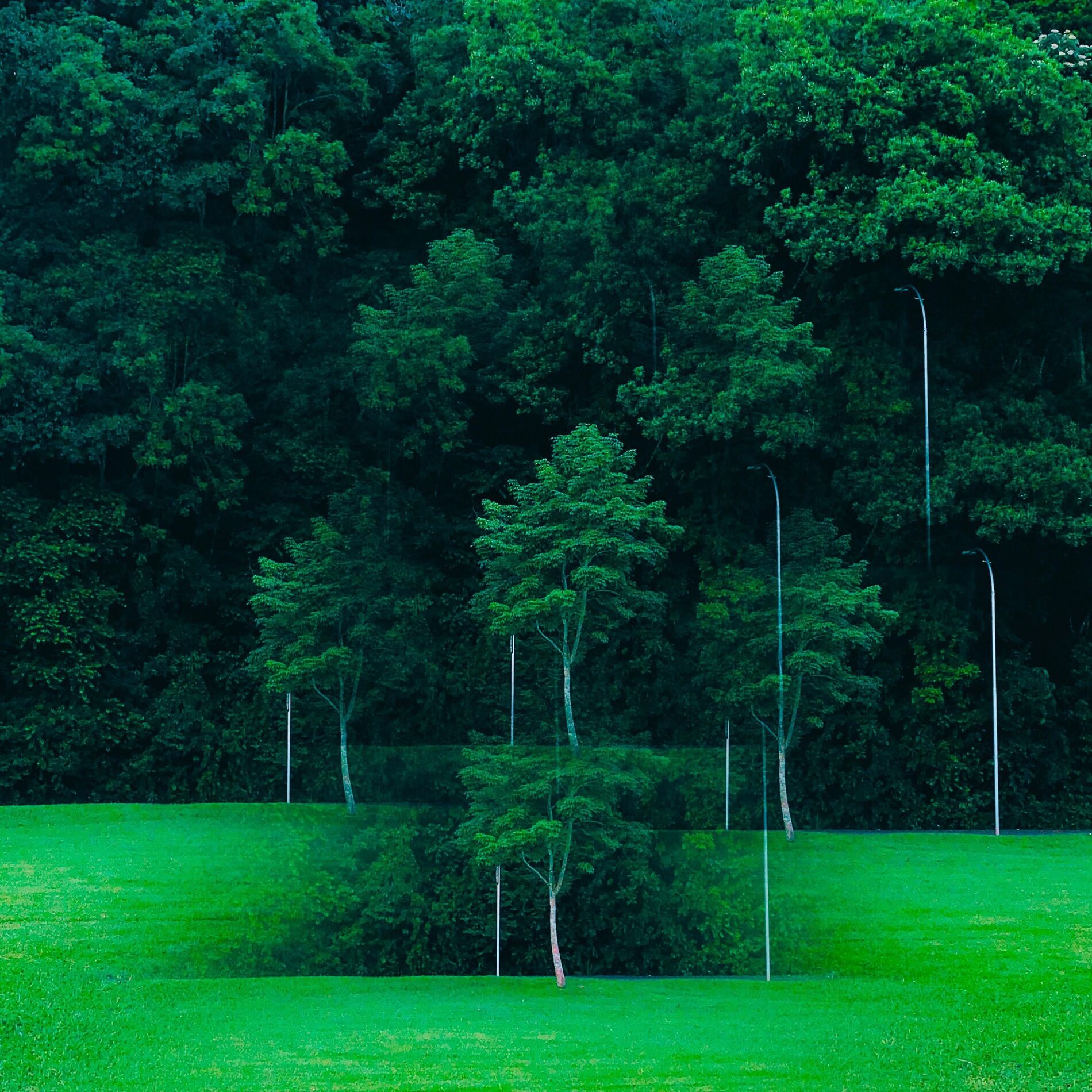 Album cover of eternamente (slowed)