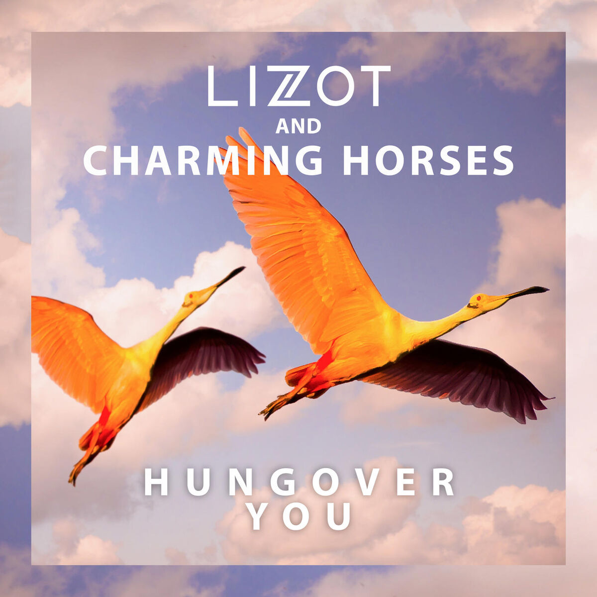Album cover of Hungover You