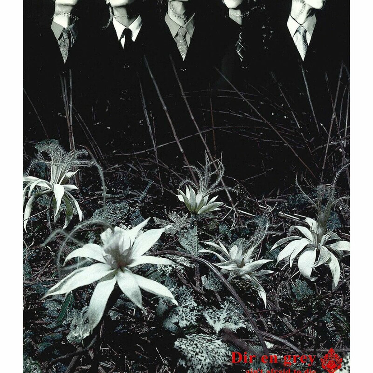 Album cover of ain’t afraid to die