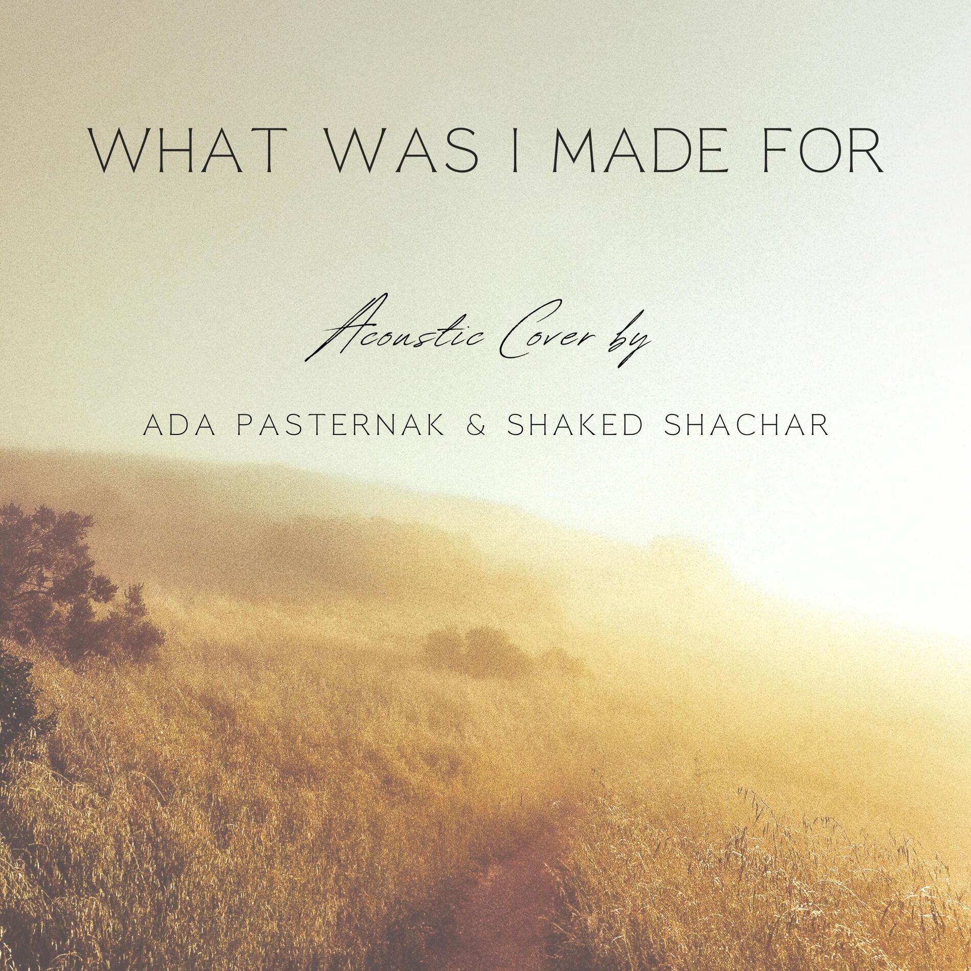 Album cover of What Was I Made For