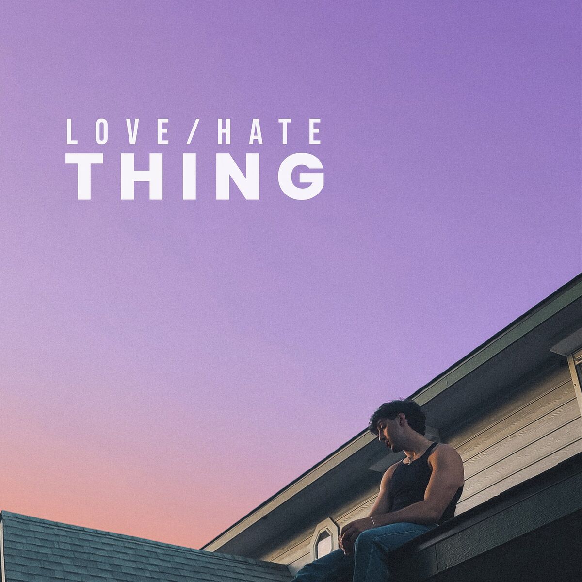 Album cover of Love / Hate Thing
