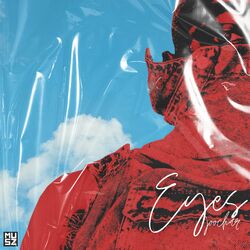 Cover of Eyes