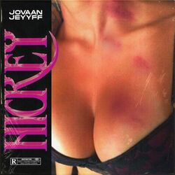 Cover of Hickey