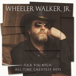Cover of Fuck You Bitch: All-Time Greatest Hits