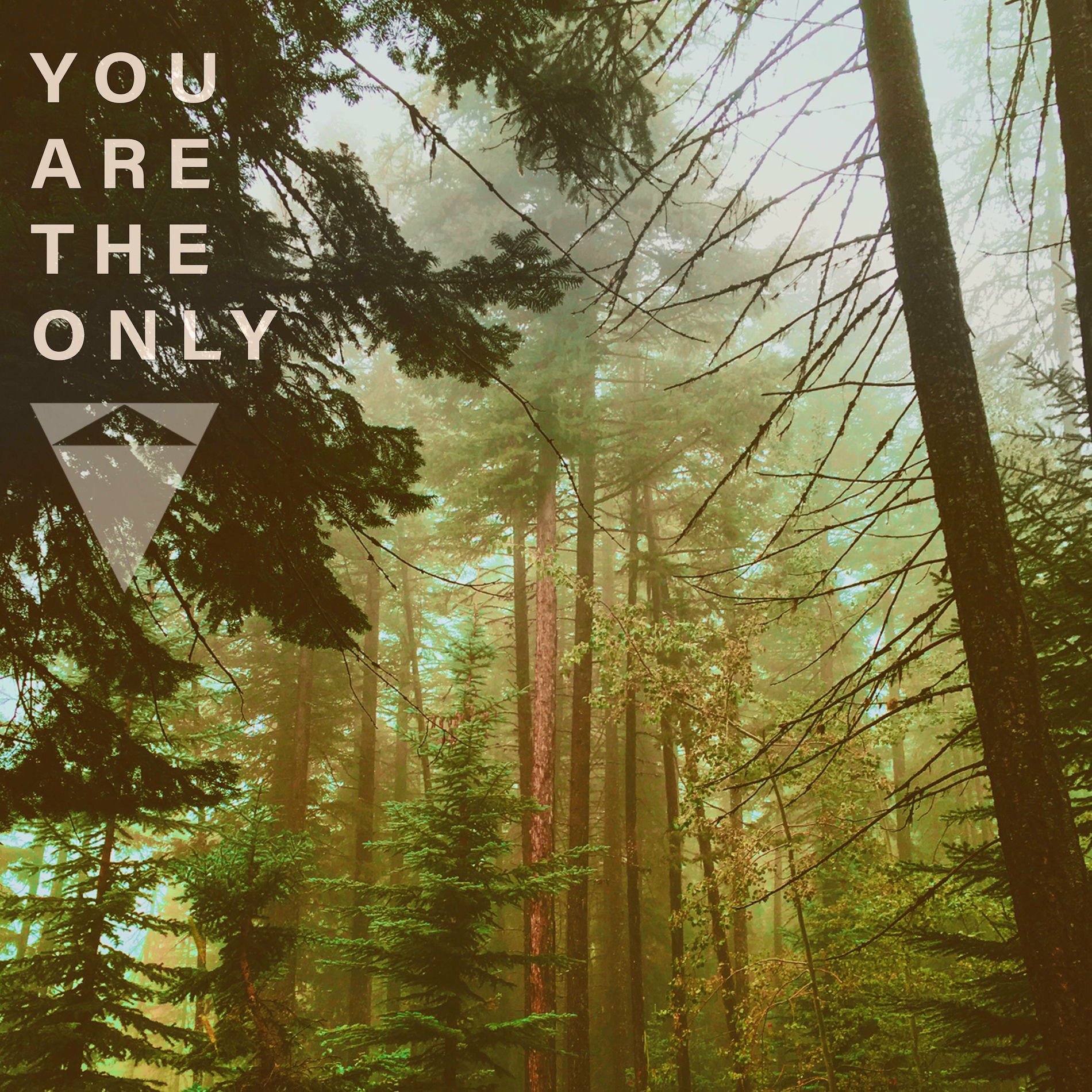 Album cover of You Are The Only