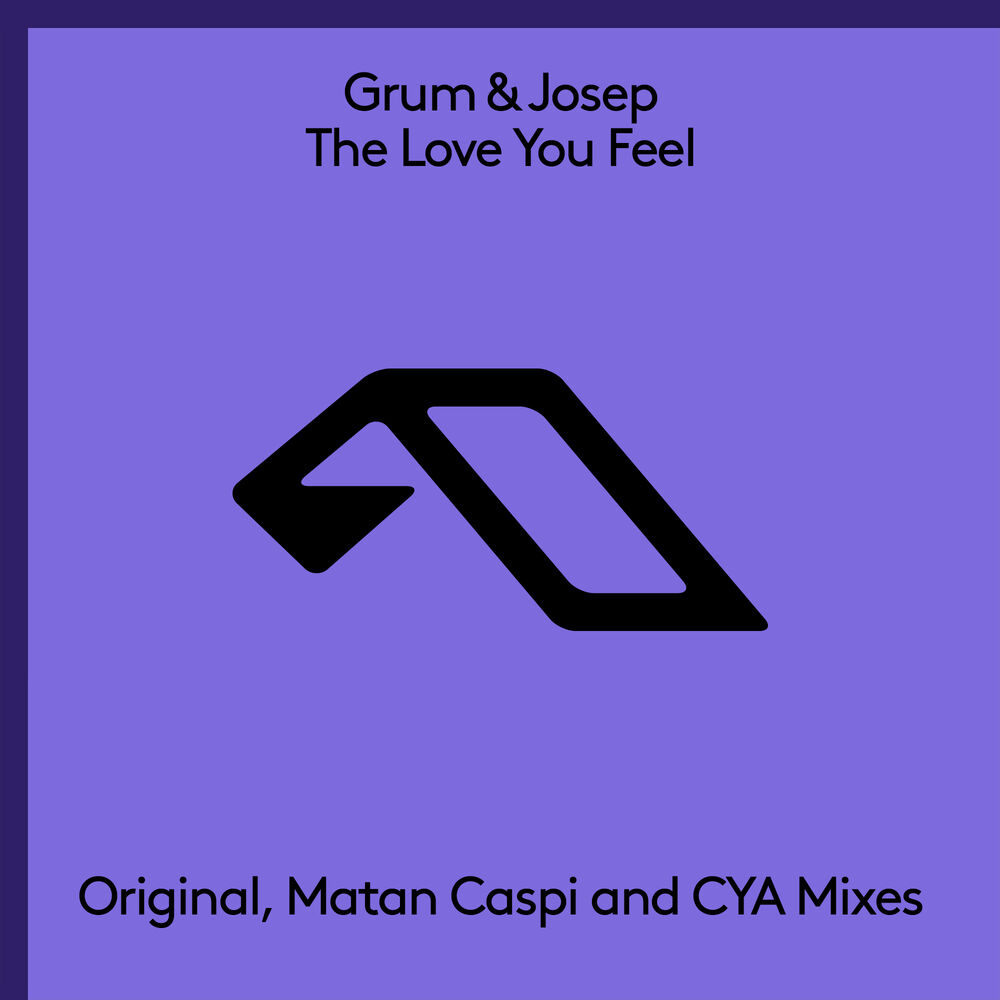 Picture of The Love You Feel
