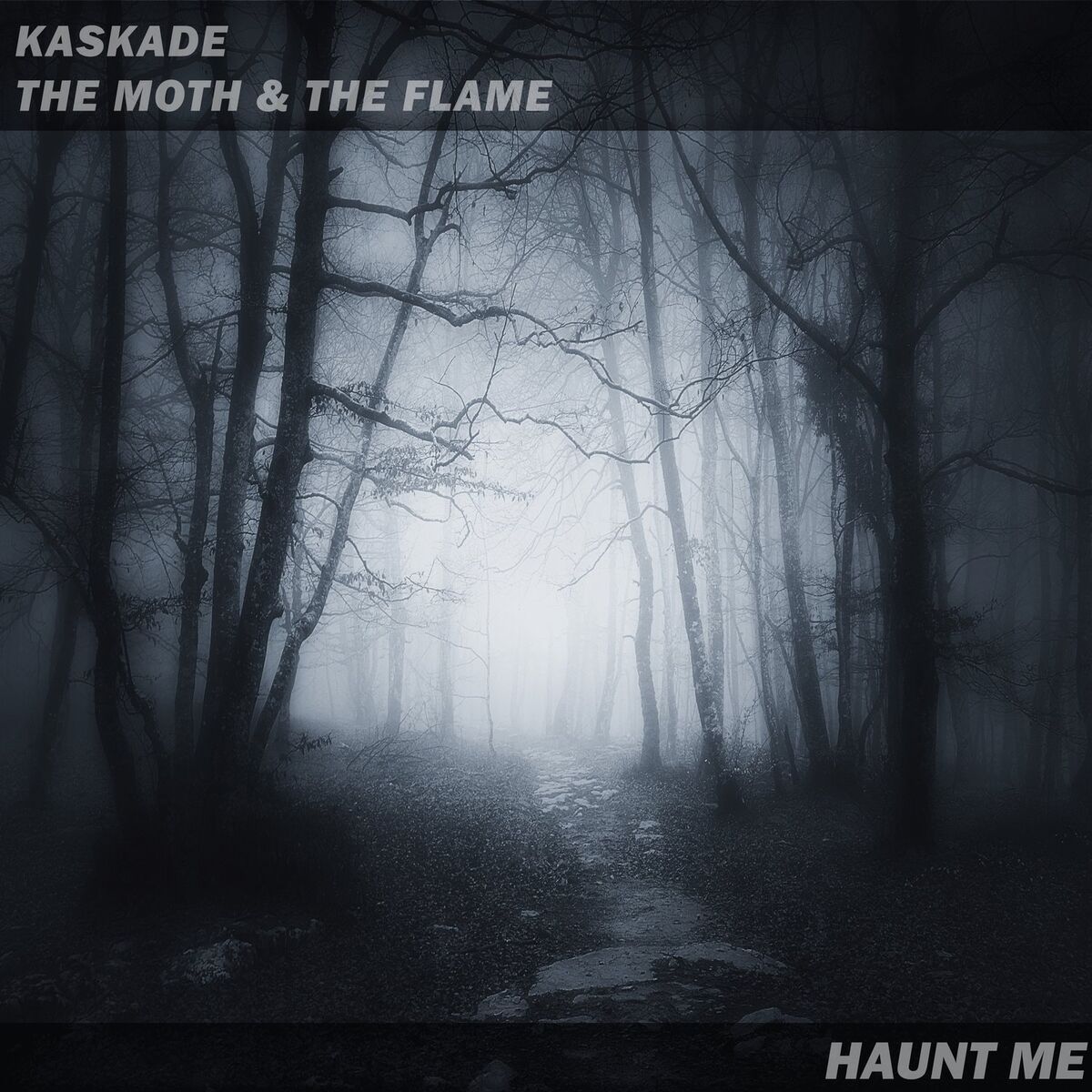 Album cover of Haunt Me