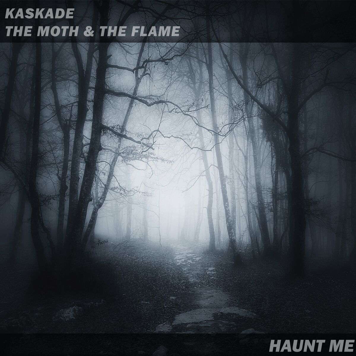 Album cover of Haunt Me