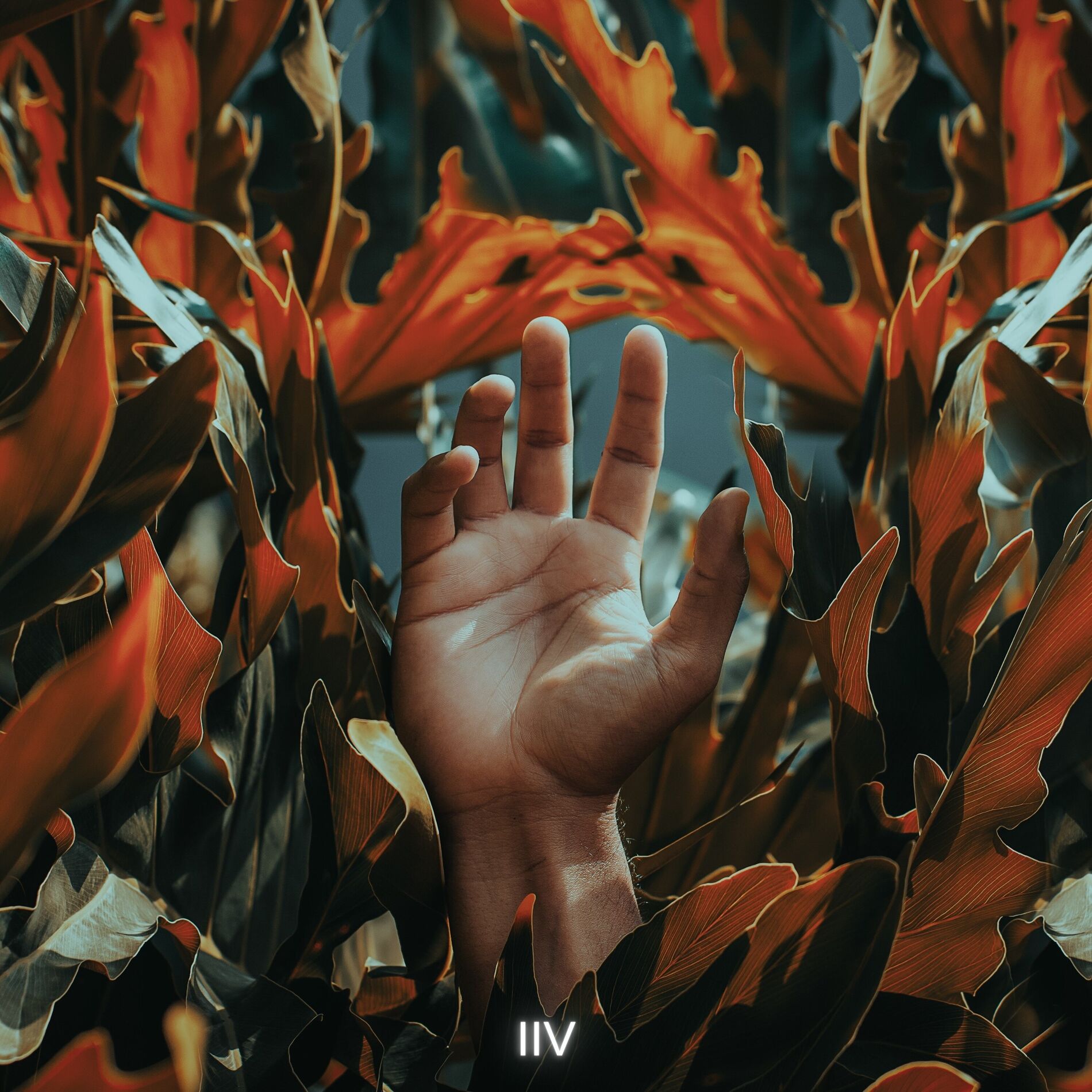Album cover of Miss You