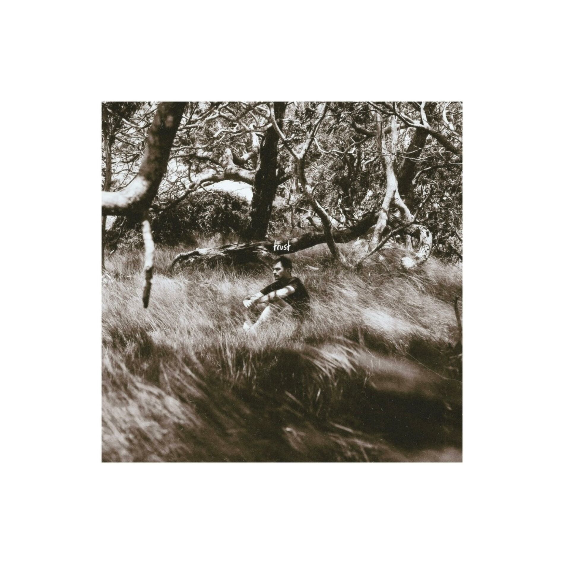 Album cover of TRUST