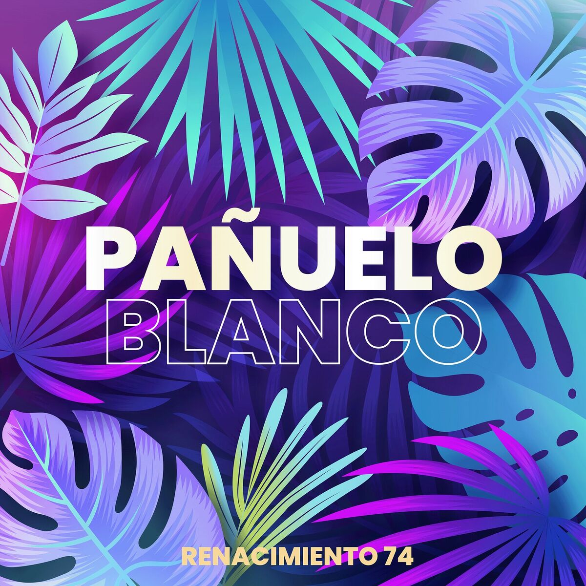 Album cover of Pañuelo Blanco