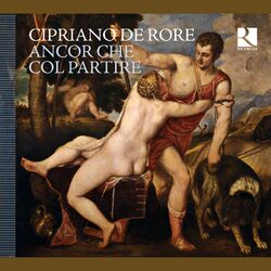 Cover of Cipriano de Rore: Ancor che col partire
