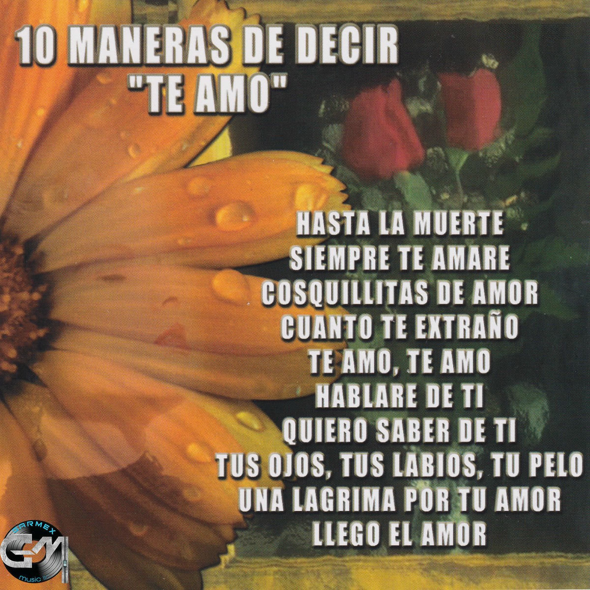 Album cover of 10 Maneras de Decir Te Amo