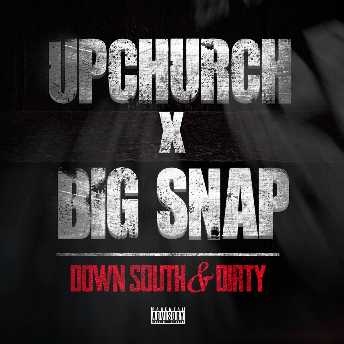Album cover of Down South & Dirty