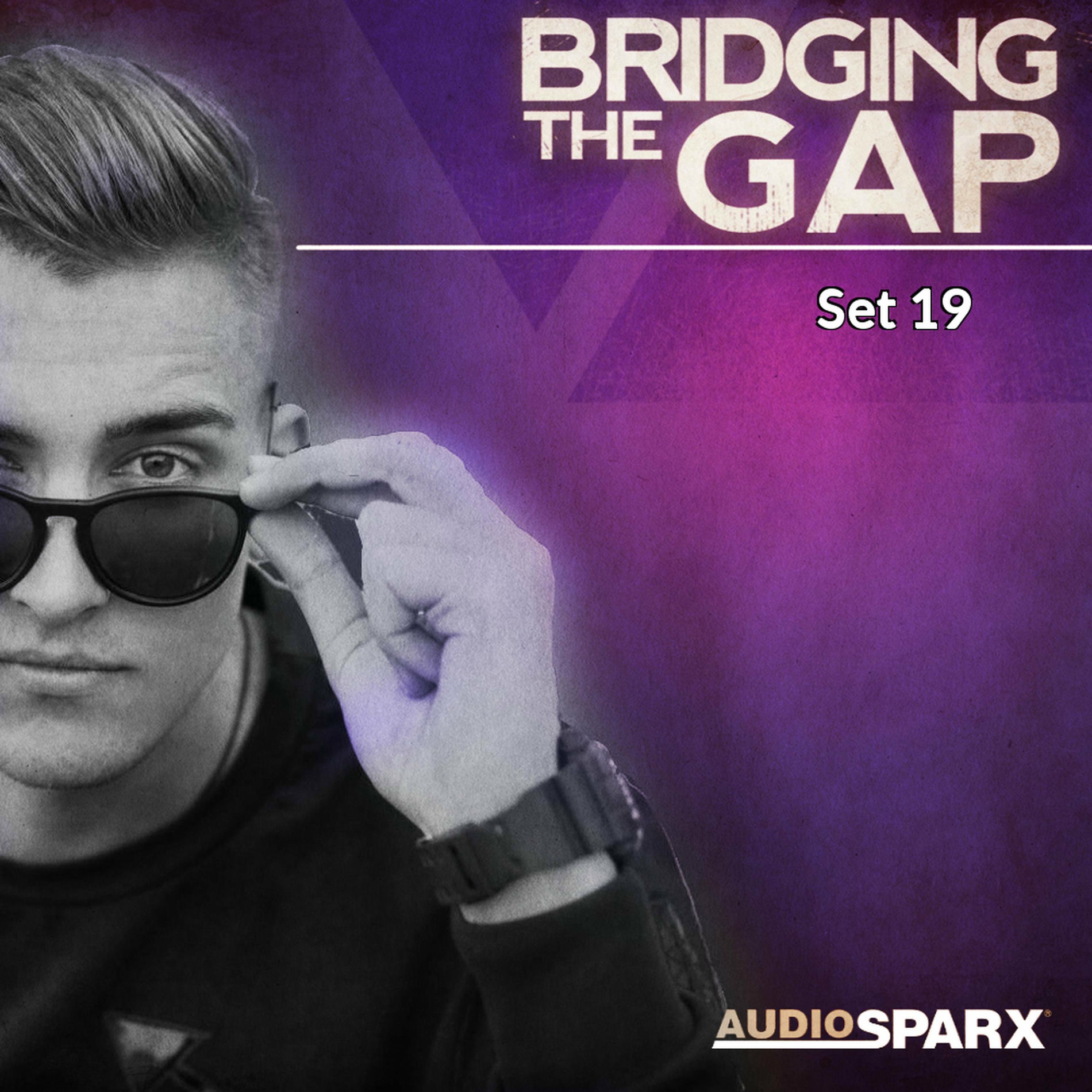 Album cover of Bridging the Gap, Set 19
