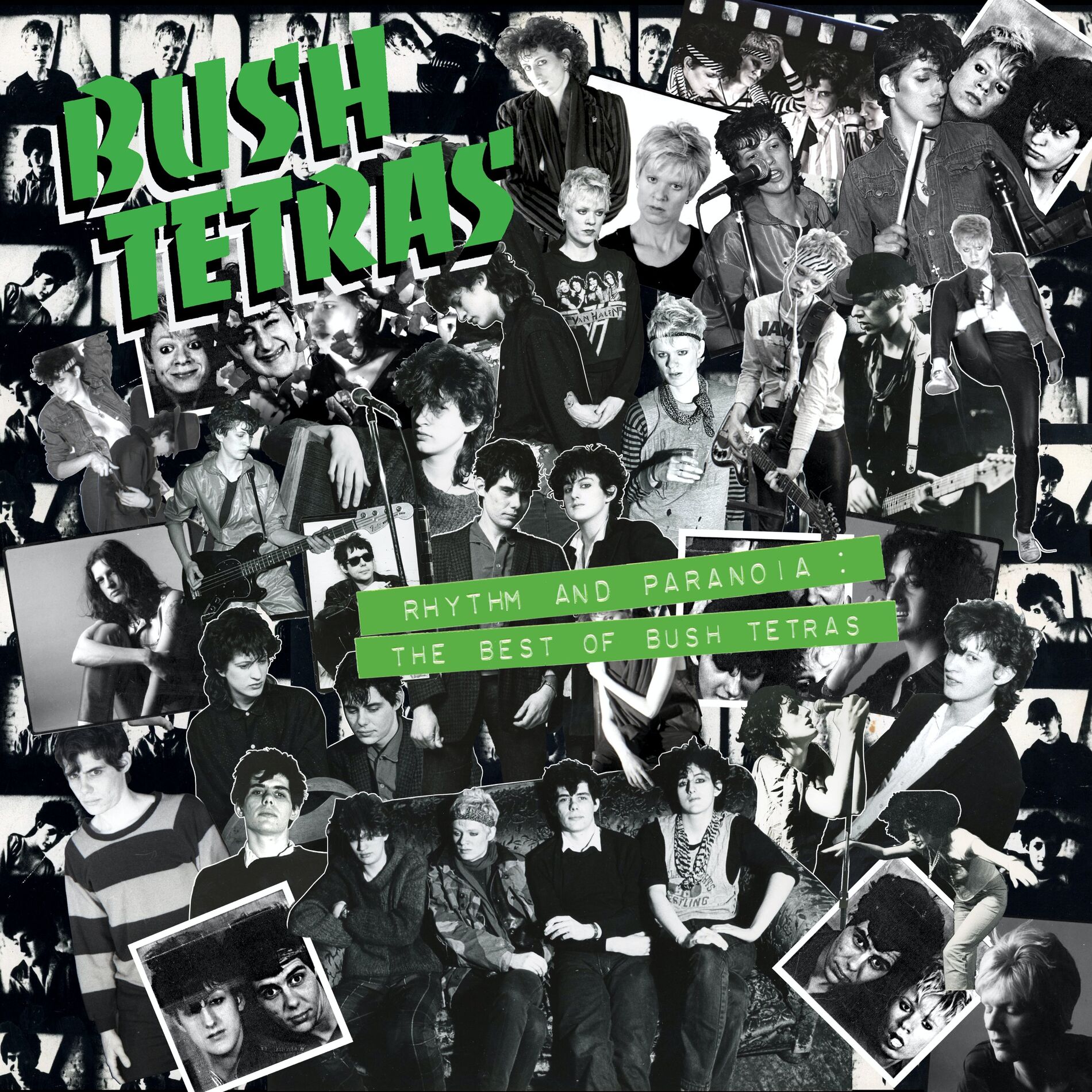 Album cover of Color Green