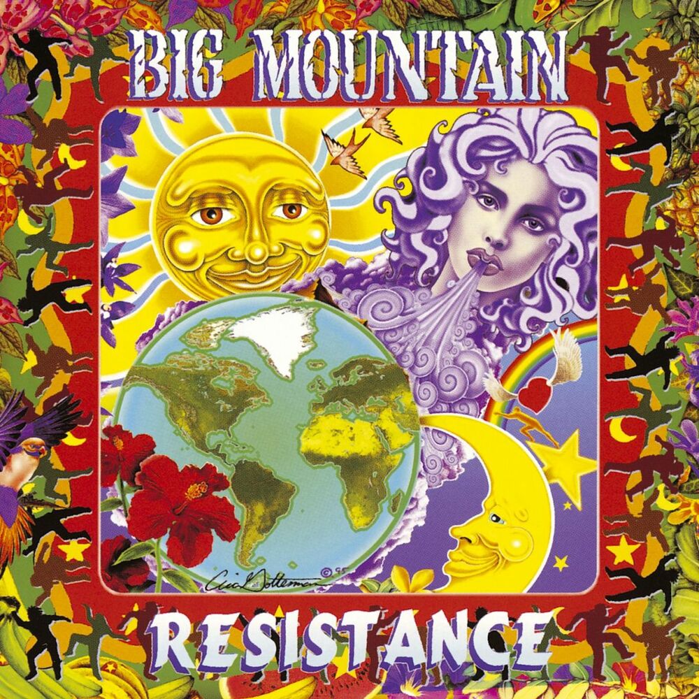 Picture of Resistance