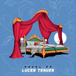 Cover of Luces Tenues