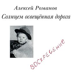 Cover of Solntsem osvescennaja doroga