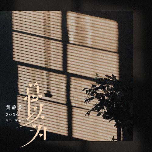 总以为 (DJ版)