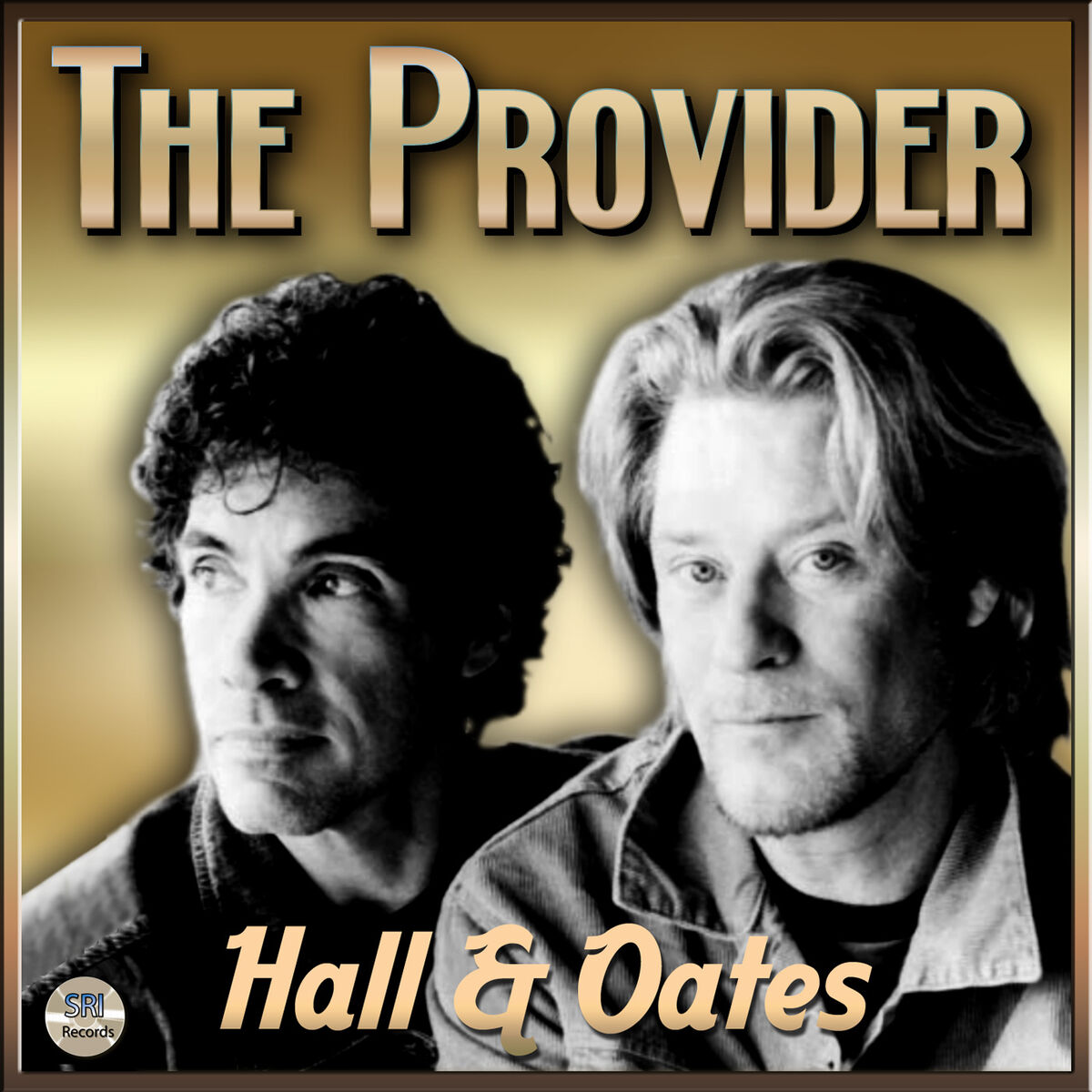Album cover of The Provider