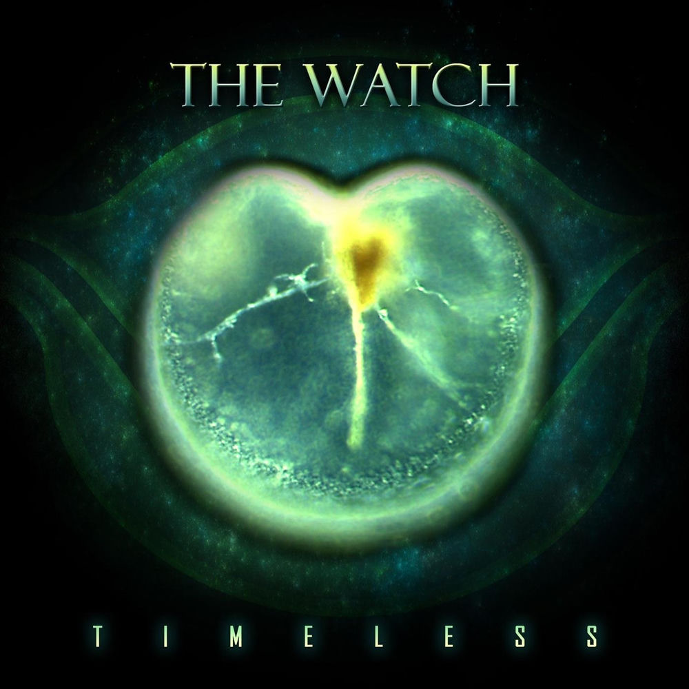 Timeless cover