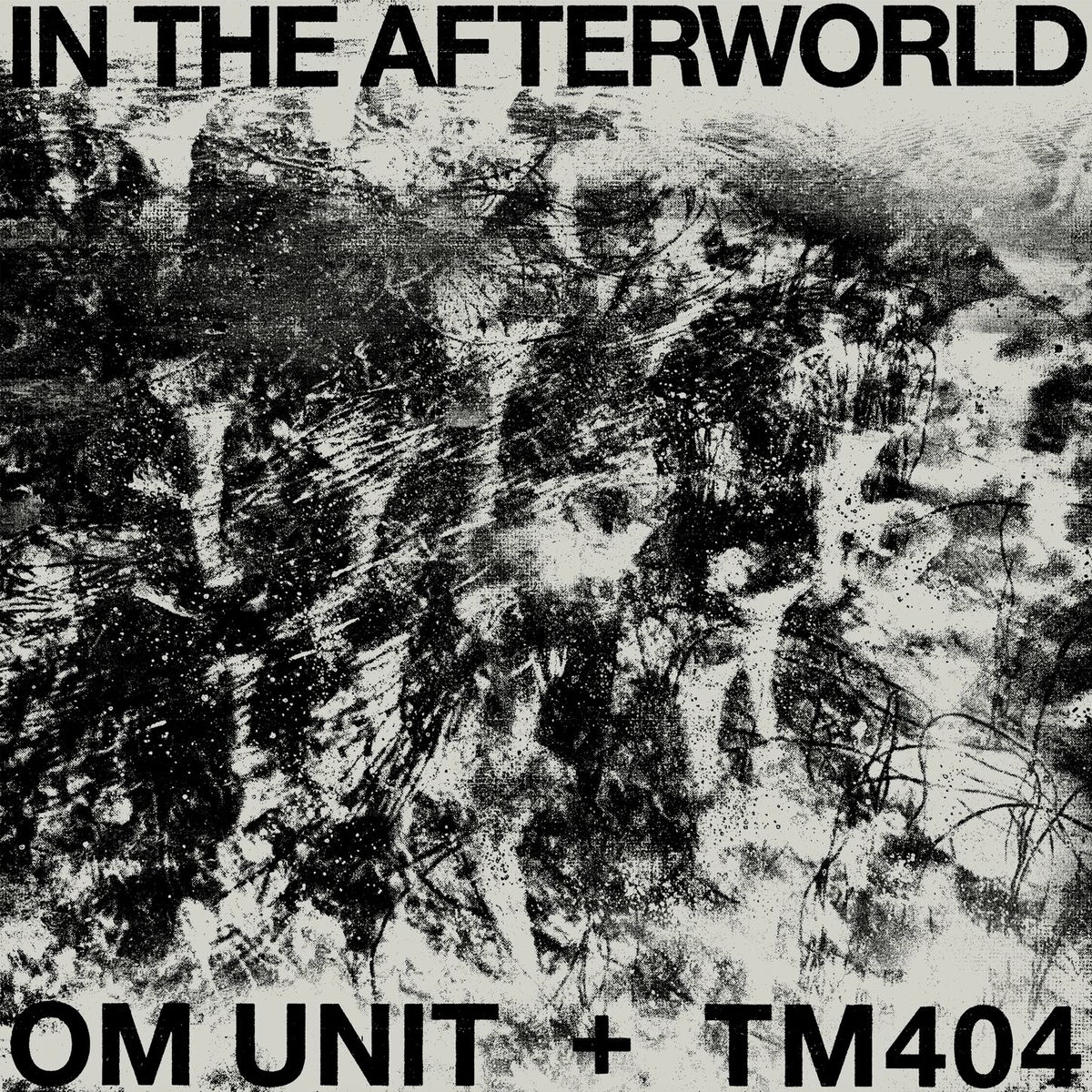 Album cover of In The Afterworld