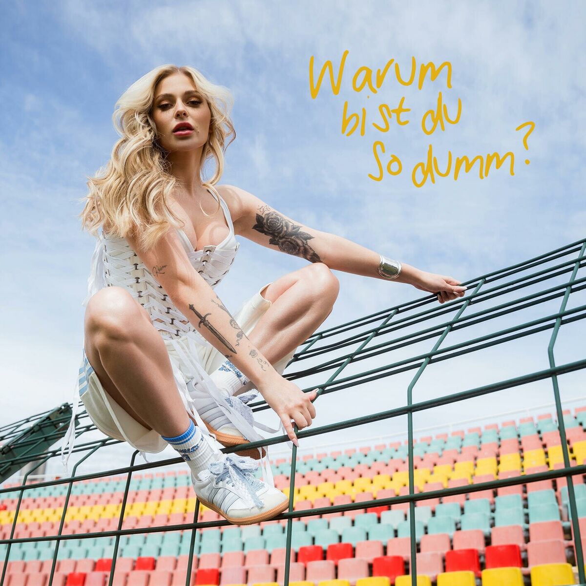 Album cover of Warum bist du so dumm?