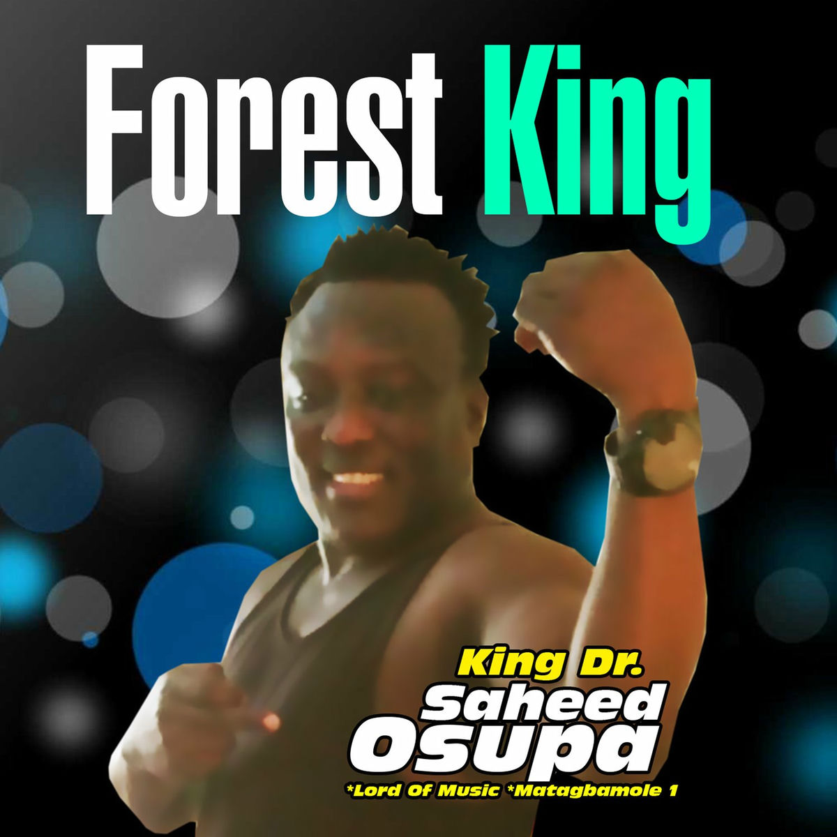 Album cover of Forest King