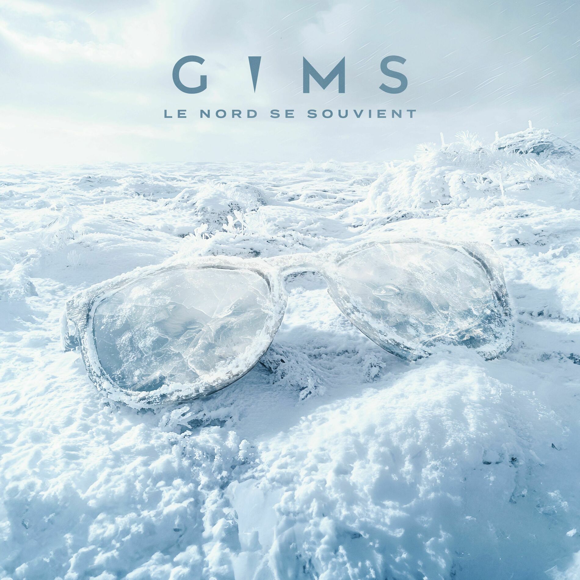 Album cover of LE NORD SE SOUVIENT