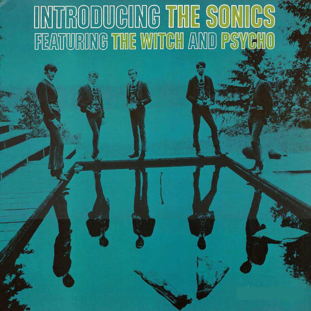 Picture of Introducing The Sonics