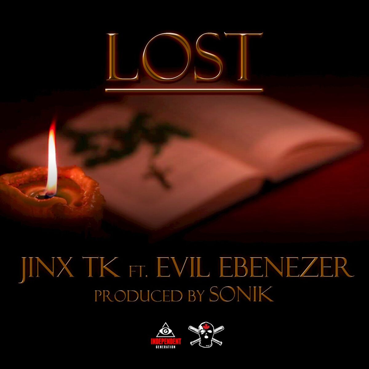 Album cover of Lost