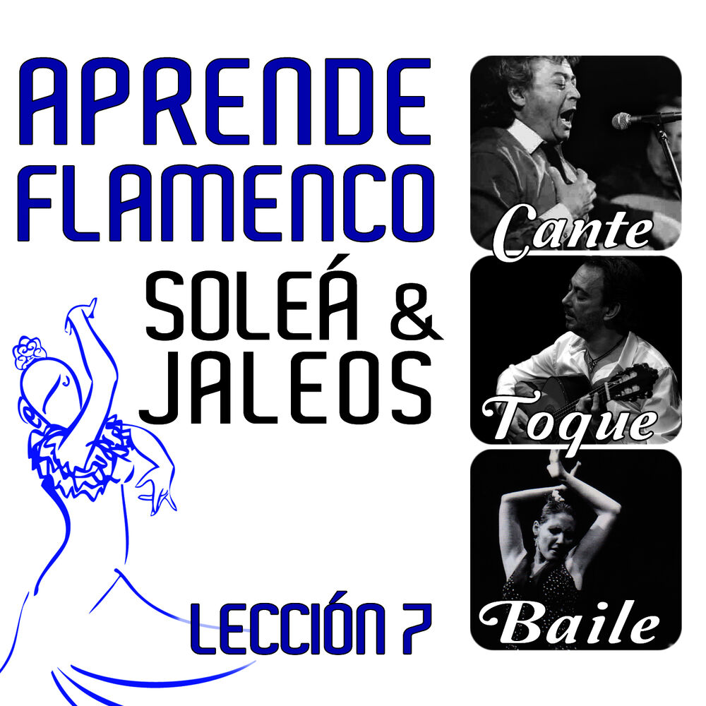 Picture of Aprende Flamenco. Soleá y Jaleos. Lección 7