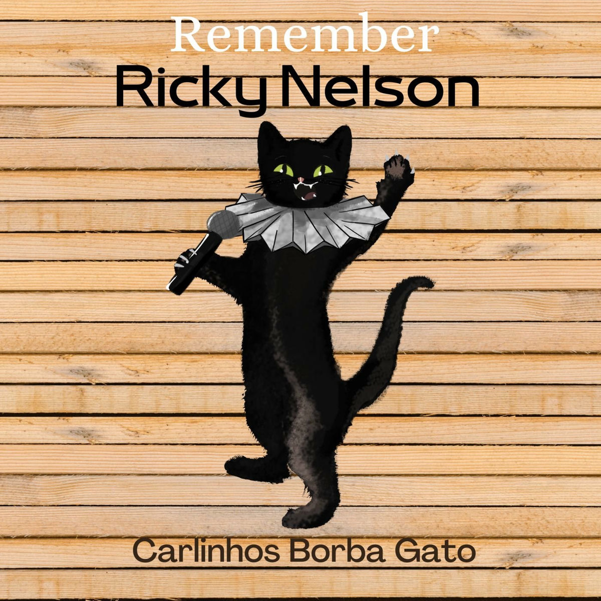 Album cover of Remember Ricky Nelson
