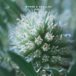 Cover of Heal