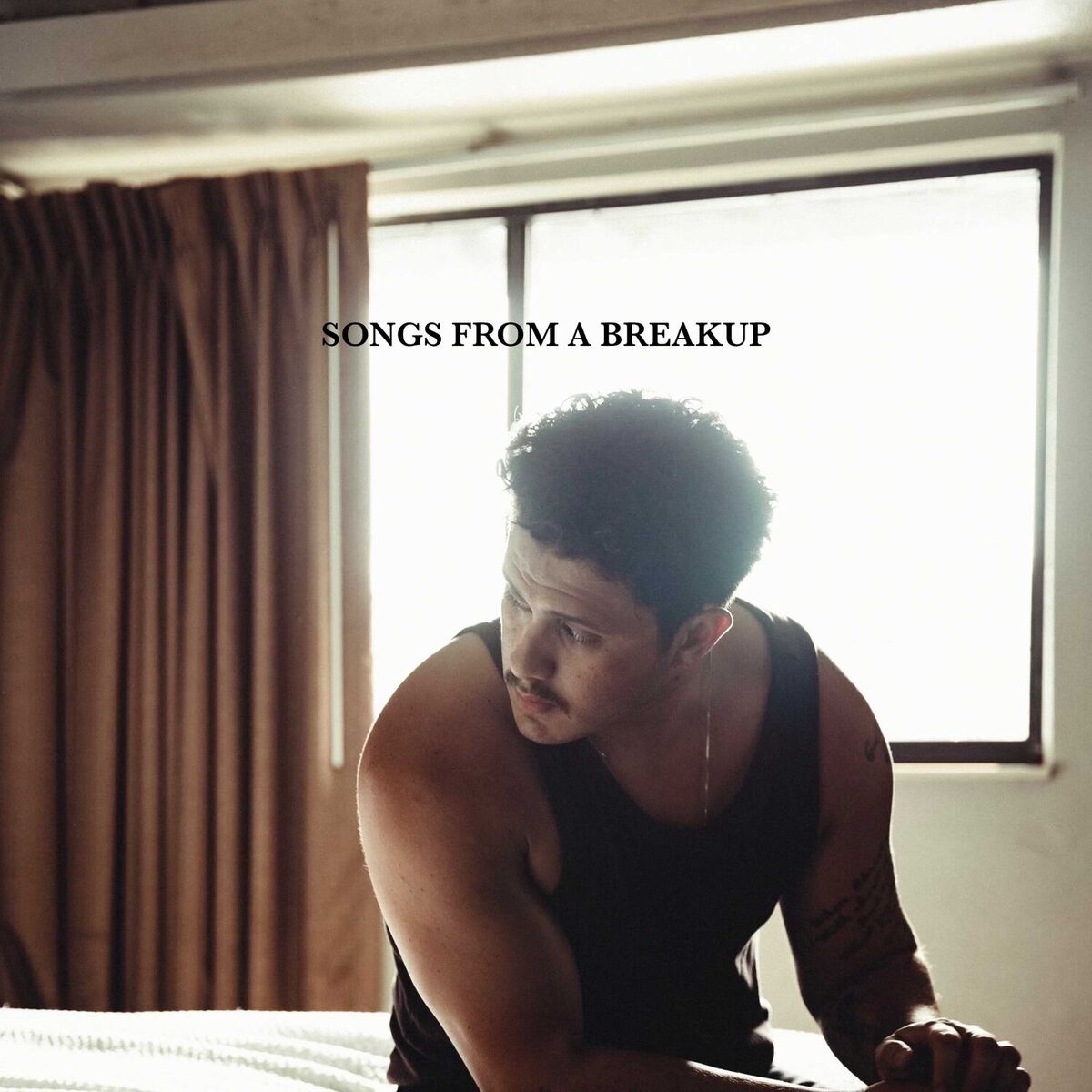 Album cover of Songs From A Breakup