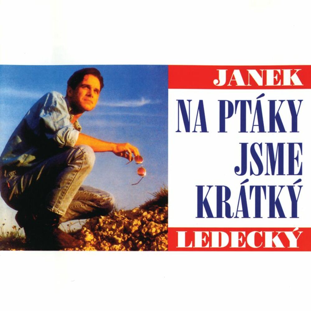 Picture of Na ptáky jsme krátký