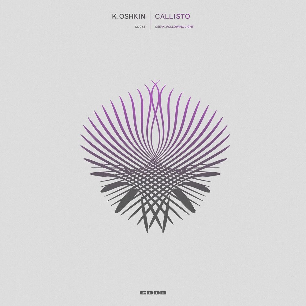 Picture of Callisto