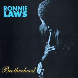 Cover of Brotherhood
