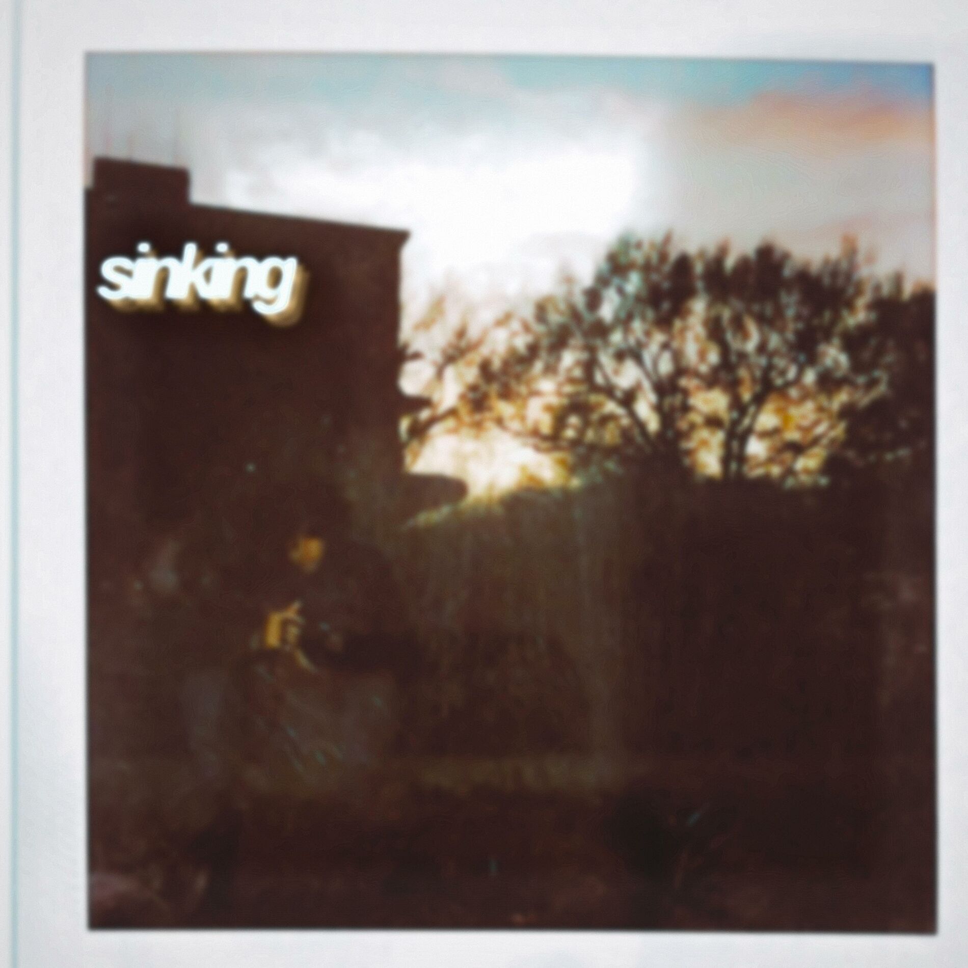 Album cover of sinking