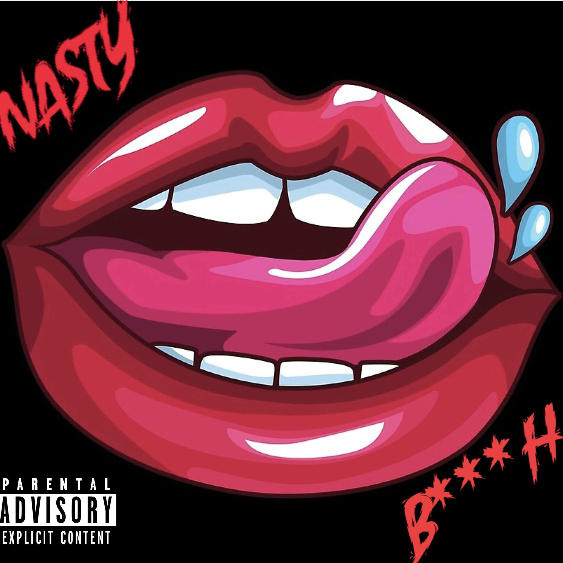 Album cover of Nasty Bitch