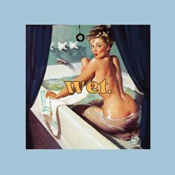 Cover of Wet