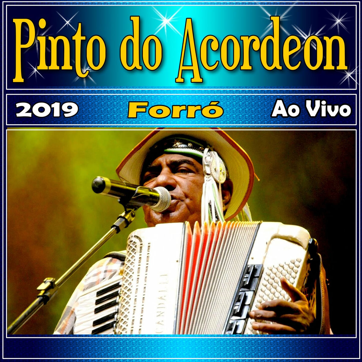Album cover of Forró Ao Vivo 2019