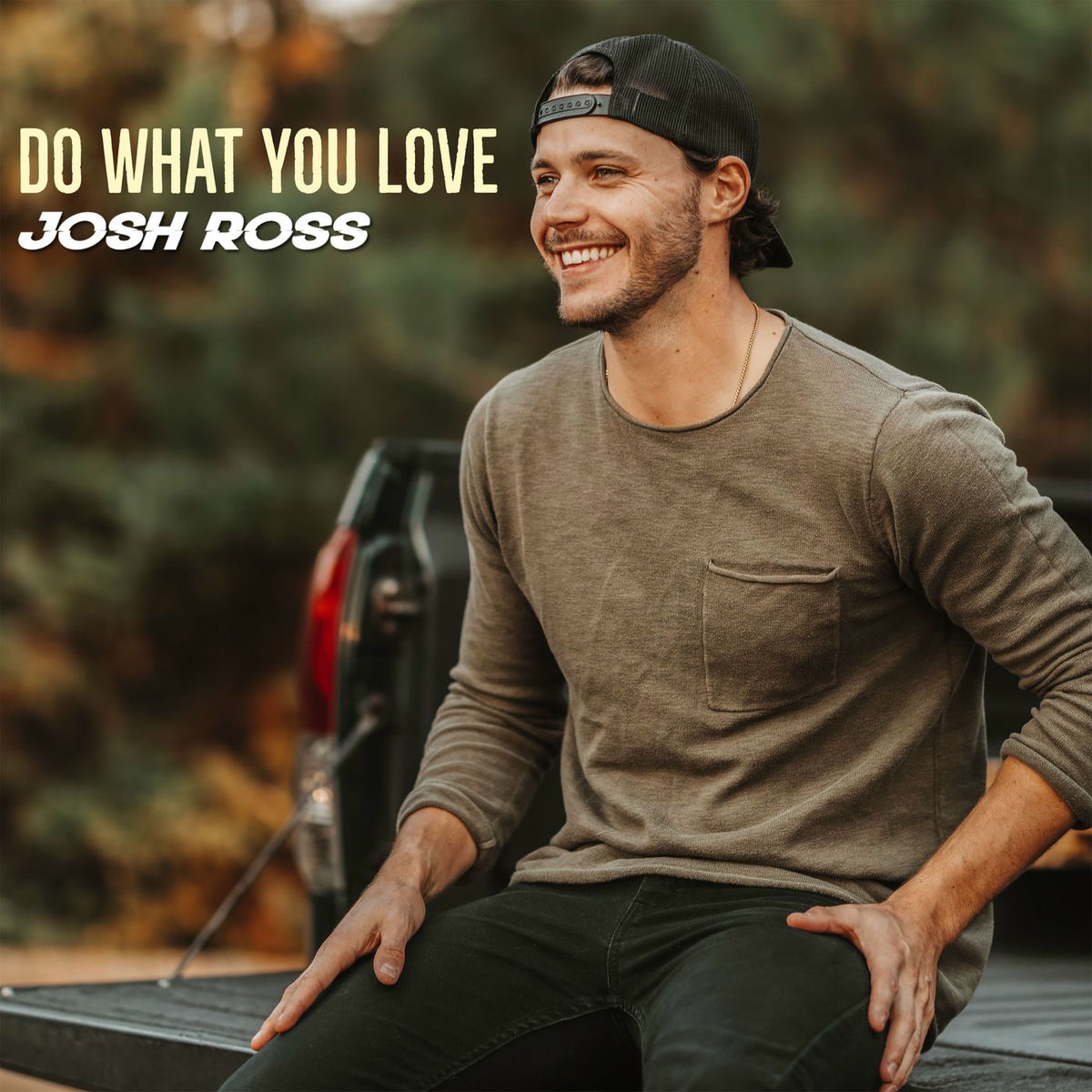 Album cover of Do What You Love