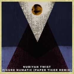 Cover of Figure Numatic (Paper Tiger Remix)